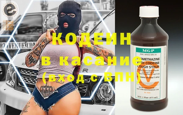 соль ск Дмитриев