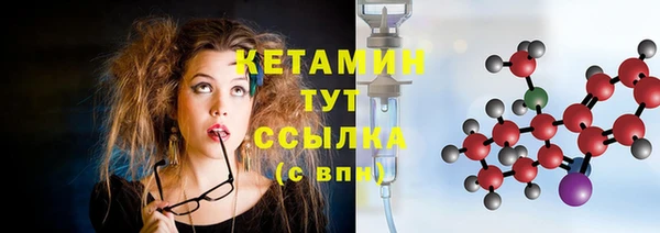 соль ск Дмитриев