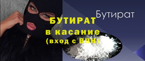 сатива Ельня