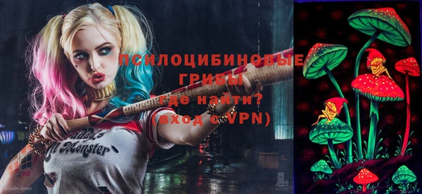 соль ск Дмитриев