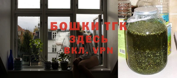 сатива Ельня