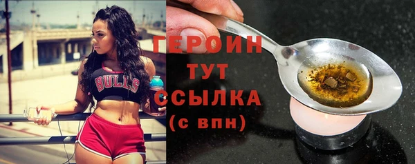 соль ск Дмитриев