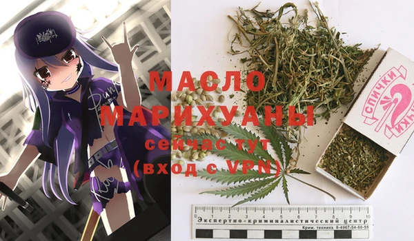 соль ск Дмитриев