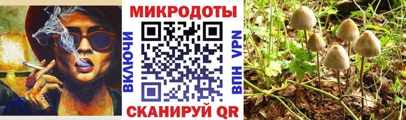 Псилоцибиновые грибы мухоморы цены Всеволожск